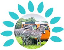 Informations essentielles par zone géographique